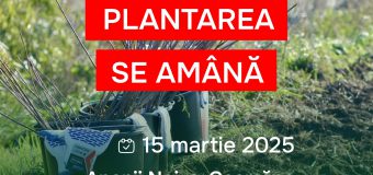 Plantarea arborilor planificată pentru 1 martie, se amână pentru data de 15 martie
