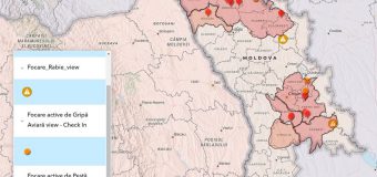 9 focare de pestă porcină africană înregistrate în Republica Moldova