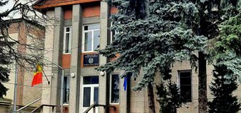 Persoană responsabilă de protecția fâșiilor forestiere, condamnată pentru defrișări ilegale, însă lăsată în continuare în funcție. Procurorii vor contesta sentința cu apel