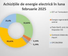 Energia electrică procurată în februarie de Energocom