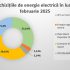 Energia electrică procurată în februarie de Energocom