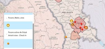 Focare de pestă porcină africană și de rabie depistate în țară