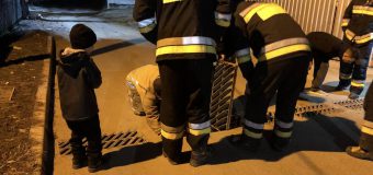 Salvatorii au avut o misiune mai puțin obișnuită.  Au salvat o pisică dintr-un canal de canalizare