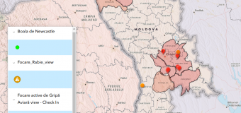 Pesta porcină africană, rabie, gripă aviară depistată pe teritoriul Republicii Moldova