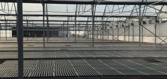 AGOS Green a dat startul noului sezon. Va fi anul 2025 un pas important spre realizarea obiectivului de restabilire a domeniul de tutungerie în Moldova?