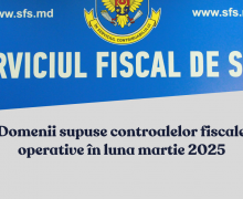 Domenii supuse controalelor fiscale operative în luna martie 2025