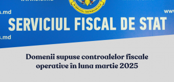 Domenii supuse controalelor fiscale operative în luna martie 2025