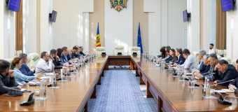 Asociații agricole din țară la Guvern. Discuții despre înghețuri și pesta porcină