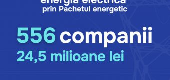 Guvernul a transferat 24,5 mln. lei în conturile a 556 de companii drept compensații pentru energia electrică