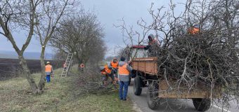 Drumarii desfășoară lucrări de întreținere și reparație a drumurilor naționale