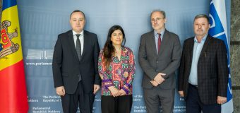 Vlad Batrîncea s-a întâlnit cu delegația ODIHR