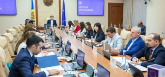Extinderea suprafețelor cultivate cu leguminoase va fi sprijinită prin noile reglementări adoptate de Guvern