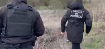 Curieri de droguri, reținuți de ofițerii INI. A fost ridicată sare în valoare de 500 de mii de lei