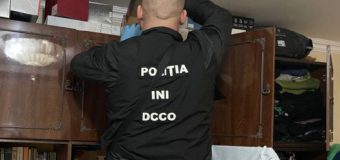 Captură de marijuana în valoare de până la 300 mii lei la Cahul, precum și arme deținute ilegal