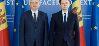 Serebrian și Kulminski – propuși în calitate de Ambasadori în Turcia și SUA