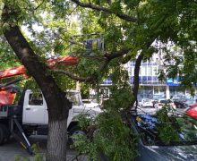 (FOTO) Echipele de intervenție au lichidat consecințele provocate de vântul puternic