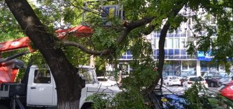 (FOTO) Echipele de intervenție au lichidat consecințele provocate de vântul puternic