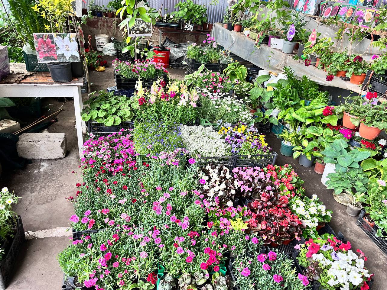 Iarmarocul „Florile Plaiului” se va desfășura în cadrul Pieței Centrale