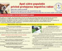 ANSA a demarat campania de vaccinare antirabică a vulpilor