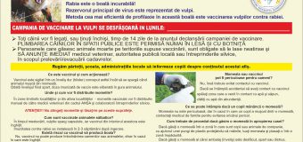 ANSA a demarat campania de vaccinare antirabică a vulpilor
