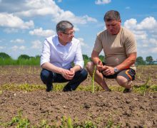 Igor Grosu: Pe 1 Mai celebrăm valoarea muncii şi a oamenilor muncitori, harnici și dedicați