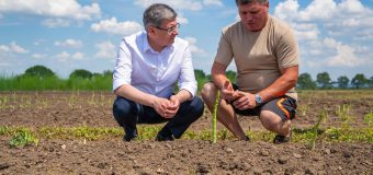 Igor Grosu: Pe 1 Mai celebrăm valoarea muncii şi a oamenilor muncitori, harnici și dedicați