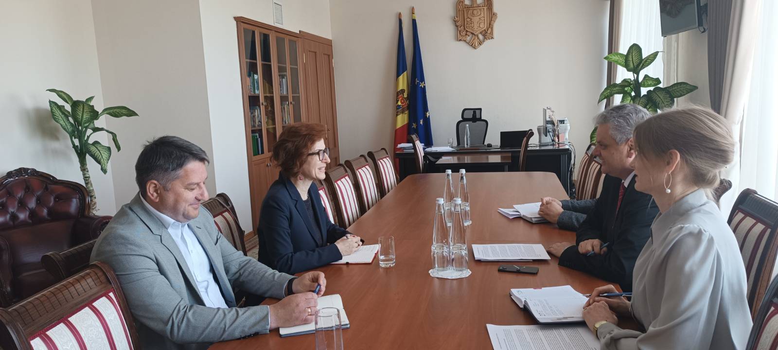 Oleg Serebrian și reprezentanta PNUD Moldova au discutat despre proiectele implementate