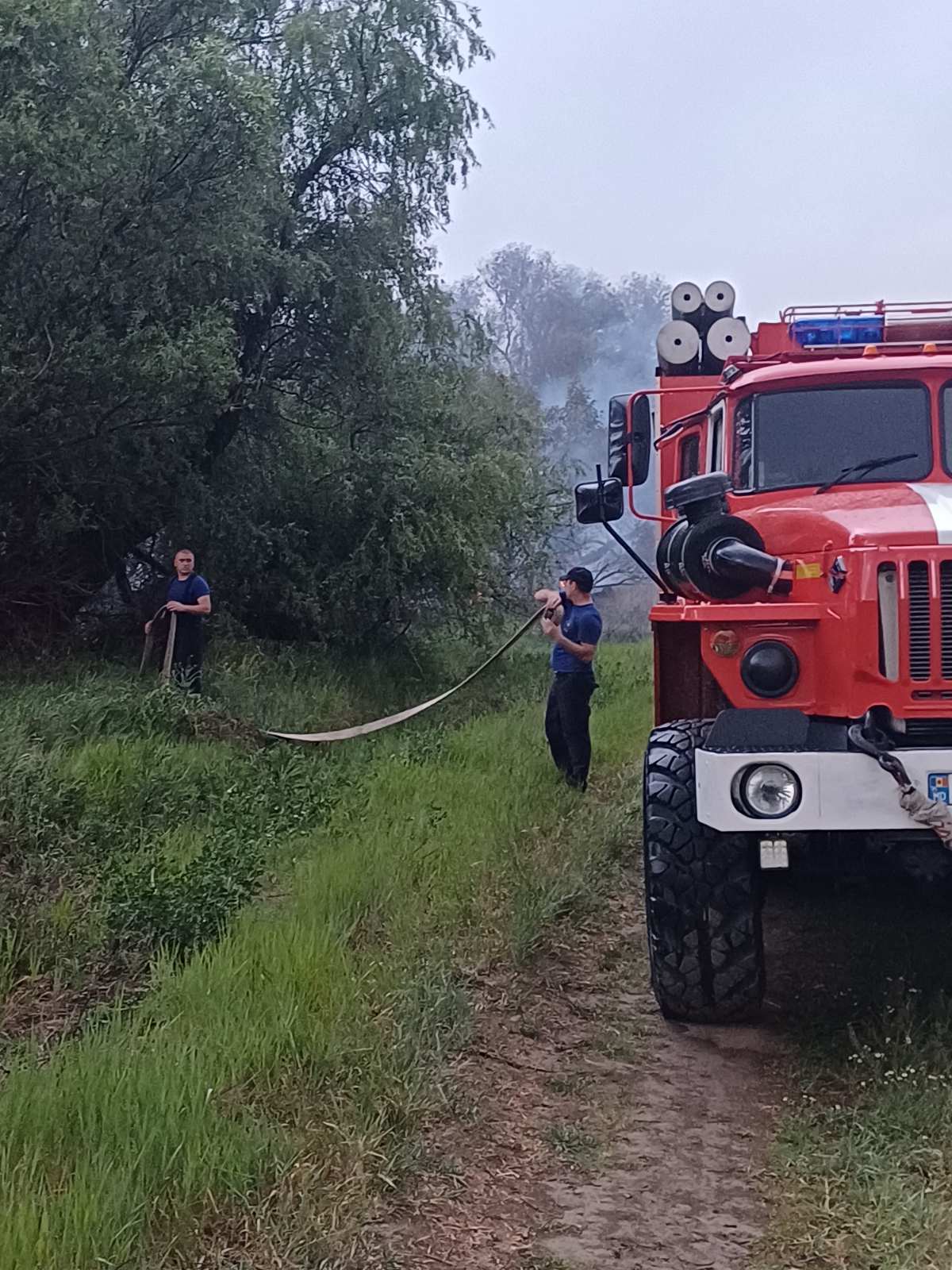 Pompierii au intervenit la lichidarea unui incendiu de vegetație uscată