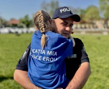 Polițiștii vor desfășura activități de informare si educare în instituțiile de învățământ