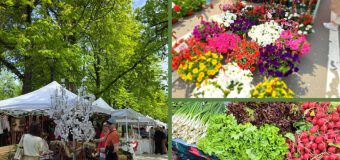 Târguri cu produse locale vor avea loc în Chișinău în weekend