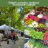Târguri cu produse locale vor avea loc în Chișinău în weekend