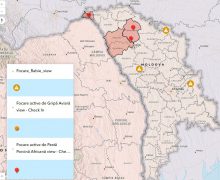 Focar de rabie și pestă porcină africană înregistrate în țară