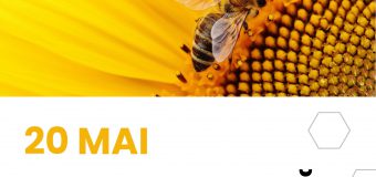 Astăzi este marcată Ziua Mondială a Albinelor