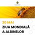 Astăzi este marcată Ziua Mondială a Albinelor