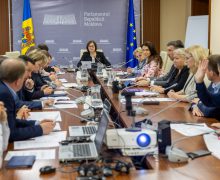 Curtea de Conturi a prezentat în Comisia parlamentară concluziile auditului financiar la Ministerul Mediului
