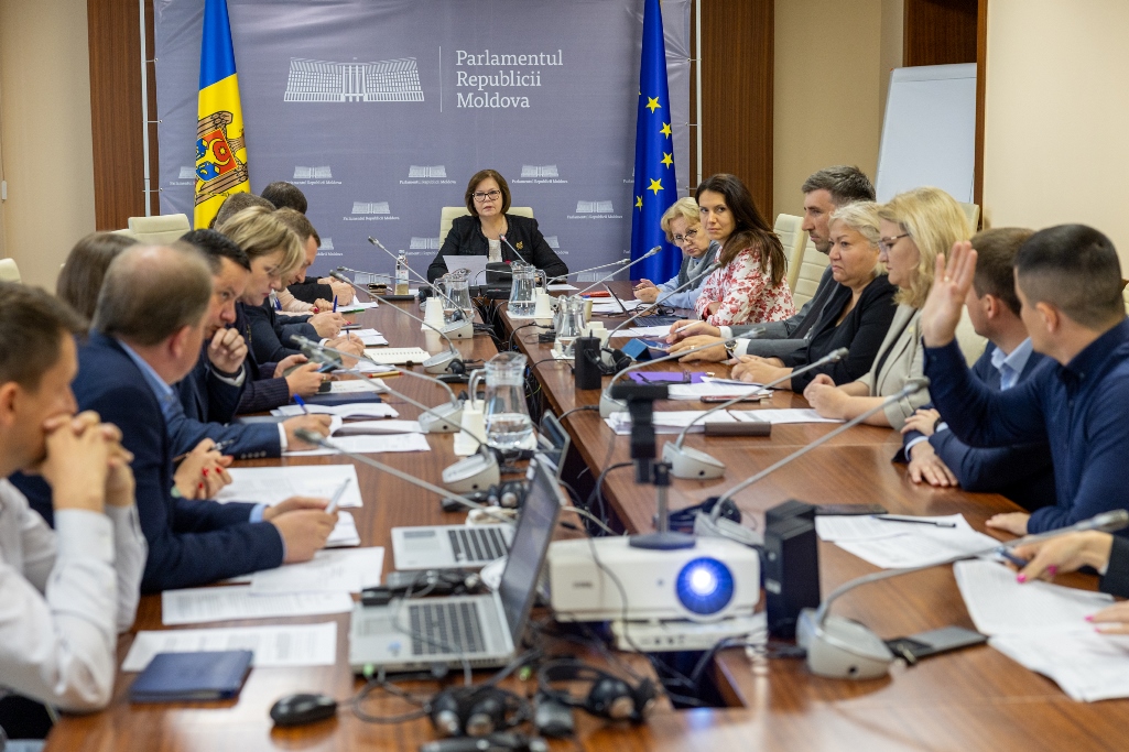 Curtea de Conturi a prezentat în Comisia parlamentară concluziile auditului financiar la Ministerul Mediului