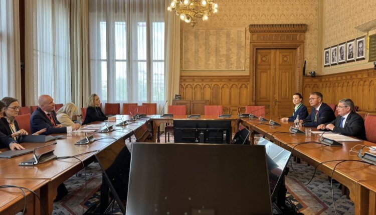 La Budapesta, Președintele Parlamentului a discutat despre parcursul european al țării noastre cu omologi din diferite țări