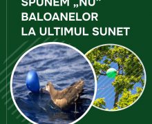 Îndemnul Ministerului Mediului: Fără baloane la ultimul sunet