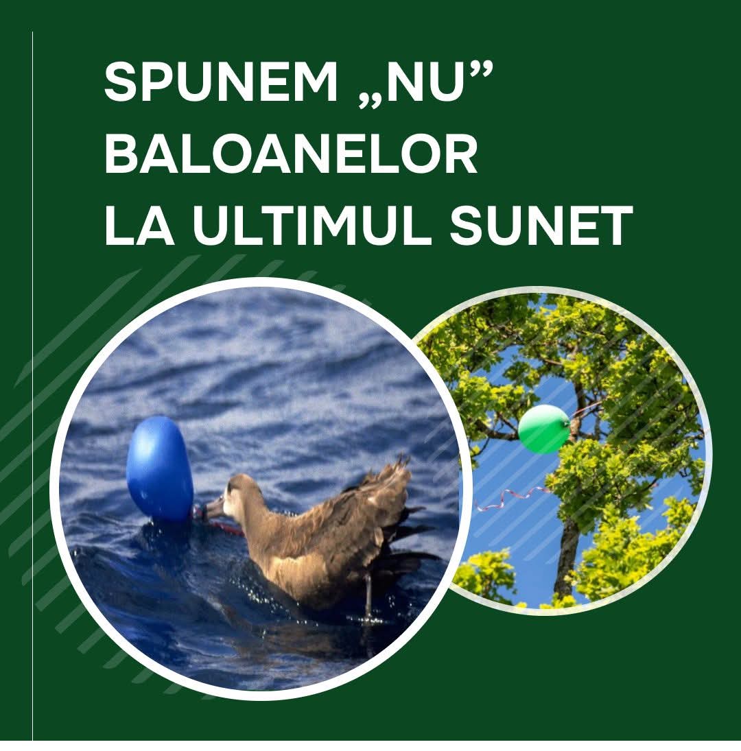 Îndemnul Ministerului Mediului: Fără baloane la ultimul sunet