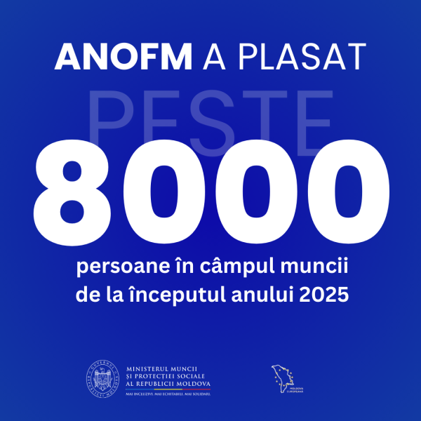 Peste 8 mii de persoane au fost plasate în câmpul muncii de la începutul anului 2025