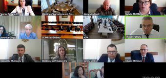 Curtea de Conturi a publicat raportul de audit financiar la Ministerului Agriculturii și Industriei Alimentare