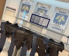 Un cetățean al Kazahstanului a încercat să treacă controlul de forntieră cu piei de crocodil