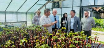 Republica Moldova face un pas semnificativ în dezvoltarea sectorului vitivinicol prin evaluarea „Pașaportului soiului”