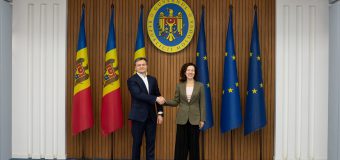 Premierul în discuții cu Vicepreședinta Executivă a Comisiei Europene pentru Drepturi Sociale și Competențe, Locuri de Muncă de Calitate și Pregătire