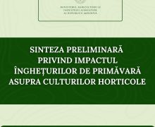 Sinteza Ministrului Agriculturii privind înghețurile de primăvară: Se preconizează o reducere cu circa 40-45% a recoltei de cais și prun