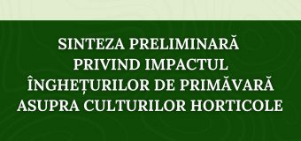 Sinteza Ministrului Agriculturii privind înghețurile de primăvară: Se preconizează o reducere cu circa 40-45% a recoltei de cais și prun
