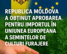 Materialul semincer de culturi furajere produs în Republica Moldova va putea fi exportat în țările UE