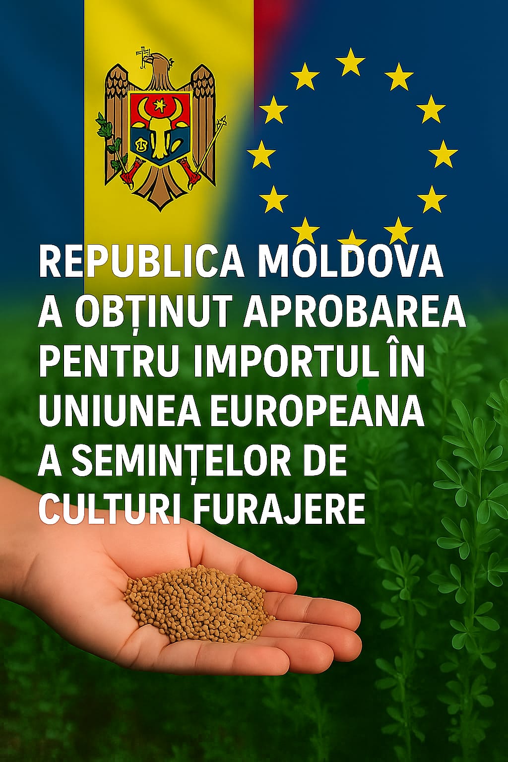Materialul semincer de culturi furajere produs în Republica Moldova va putea fi exportat în țările UE