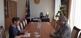 Vizită de rămas bun a vicepremierului Serebrian cu Ambasadoarea Germaniei