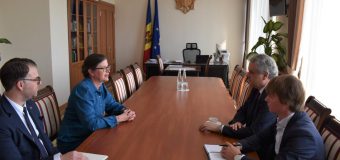 Întrevedere de rămas bun a vicepremierului Oleg Serebrian cu Ambasadoarea Suediei
